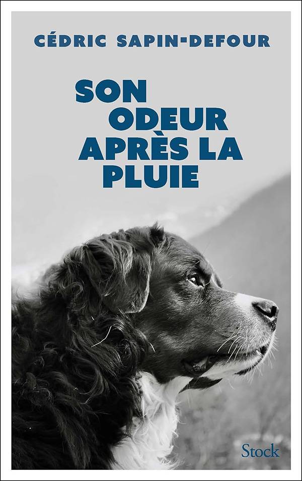 Idée cadeau de Noël : Son odeur après la pluie