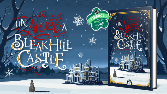 Un Noël à Bleakhill Castle, de Laetitia Arnould